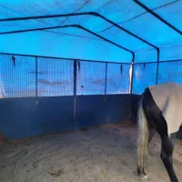 باکس سیار اسب