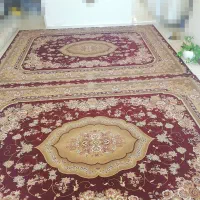فرش 12 متری|فرش|شیراز, گویم|دیوار