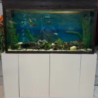 آکواریوم بزرگ با همه وسایل و کمد