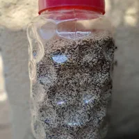 شن اکواریوم برای گیاهان زنده و ....