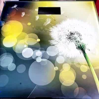 ترازوی وزن کشی  ضمانت 1ساله|تجهیزات ورزشی|قم, آزادگان|دیوار