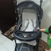 کالسکه،روروئک