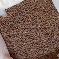 عدس ریز و متوسط