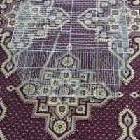 قفس ۵۰ در ۳۰ و آغل و لانه پرنده و سرلاک|لوازم جانبی حیوانات|مشهد, نیزه|دیوار