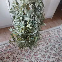 گلدان برگ انجیری|گل مصنوعی|تهران, انبار نفت|دیوار