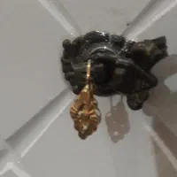 یه لنگه گوشواره مال مادرم گمشده