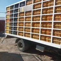 اتاق مرغی|قطعات یدکی و لوازم جانبی|کوهنانی, |دیوار