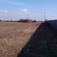 زمین ملکی وباغی