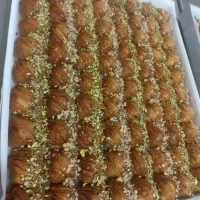 مدل زن در باقلوا نیازمندیم|استخدام صنعتی، فنی، مهندسی|تبریز, |دیوار