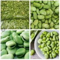 باقالی سبز و دانه درشت
