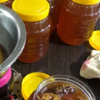 عسل طبیعی جنگل گلستان (دشت)
