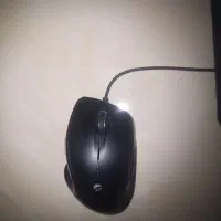 ماوس