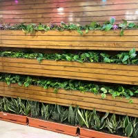 فروش کاشت دیزاین درمان گل و گیاه درمحل شما