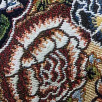 گمشده زیاستین درزاده 17