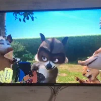 تلوزیون هایسنس 43