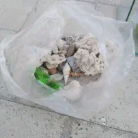 آکواریم|ماهی|کهریزک, |دیوار