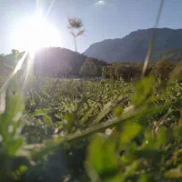 خریدار وام ازدواج یا جانبازان