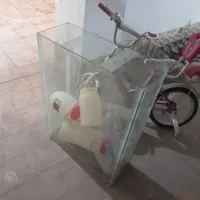 آکواریوم بزرگ