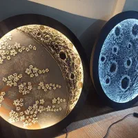 تابلو ماه و شکوفه|تابلو، نقاشی، عکس|میانه, |دیوار