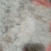 پشم لحاف و بالش