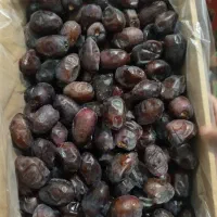 فروش محدودخرمای درجه یک مضافتی فقط یک کارتون مونده