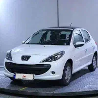 207 دنده پاناروما خشک ۱۴۰۴