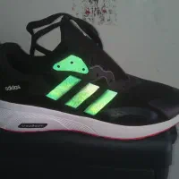 حراجی|کیف، کفش، کمربند|شیراز, شهرک ترکان|دیوار