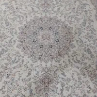 ۵ تخته فرش ماشینی|فرش|کرمانشاه, |دیوار