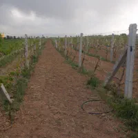 فروش پایه فنس و بتنی با کیفیت، و فنس|عمدهفروشی|سنقر, |دیوار