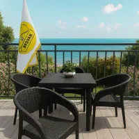 صندلی مدل رها/پلاستیکی/ویلا/کافه/غذا خوری باغدان|میز و صندلی غذاخوری|فردیس, قریشی|دیوار