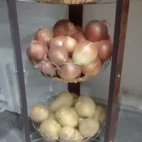 جاسیب زمینی پیازی