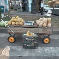 گاری|فروشگاه و مغازه|رشت, سلیمانداراب|دیوار
