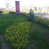 کارگر فضای سبز