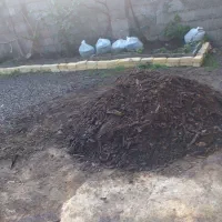 خاک باغچه ترکیبی طبیعی|خدمات باغبانی و درختکاری|رشت, پل تالشان|دیوار