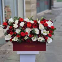 با‌کس گل سروناز کد ۱۷۸۸ گلاریس
