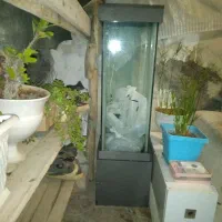 اکواریوم ایستاده دارای تسویه آب ونور