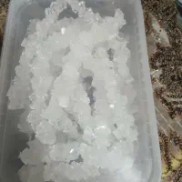 فروش انواع محصولات نوبهار|خوردنی و آشامیدنی|رباط‌کریم, رباط‌کریم|دیوار