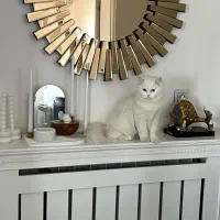 کاور شوفاژ همراه با آینه