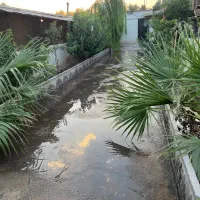 باغچه-و-انباری