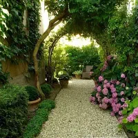 زعفرانیه-ویلایی-550-متر-1000-متر-حیاط-بدون-ودیعه