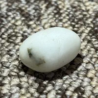 سنگ جذاب|کلکسیون اشیاء عتیقه|بانه, |دیوار