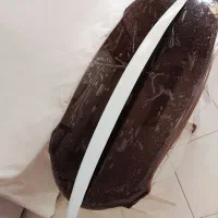بال عقب پژوپارس