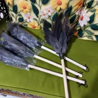 گردگیر طبیعی