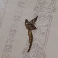 پرستو برنجی