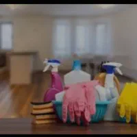 خدمتکار مجرد خانم