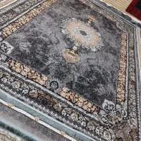 ۹ متری جفت رنگ‌  فیلی دودی نوآکبند فرش مشهد|فرش|مشهد, شهید مطهری|دیوار