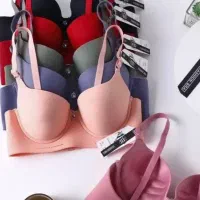 ارزانکده شاینا|لباس|کاشان, طالقانی|دیوار