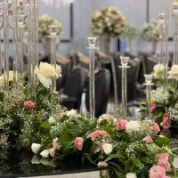 باغ تالار مجلل و زیبای قصر  در کلاک