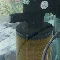 آکواریم و وسایل همراه با ماهی|ماهی|یزد, |دیوار