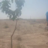 زمین باغی ویلایی، درختکاری در بافت مسکونی|فروش زمین و ملک کلنگی|مشهد, سیس‌آباد|دیوار